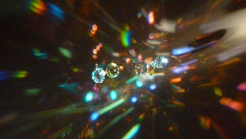 P1000626.jpg